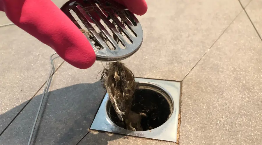 Drain Services